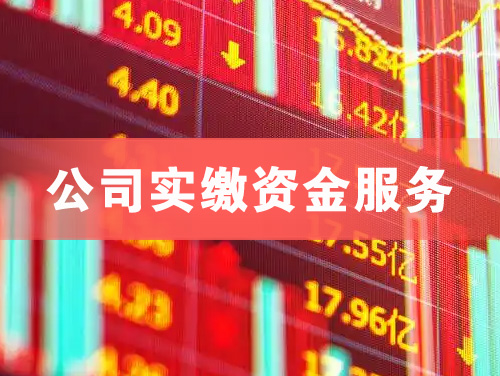 宁国公司实缴资金服务