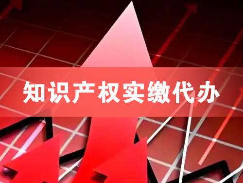 宁国知识产权实缴资本代办